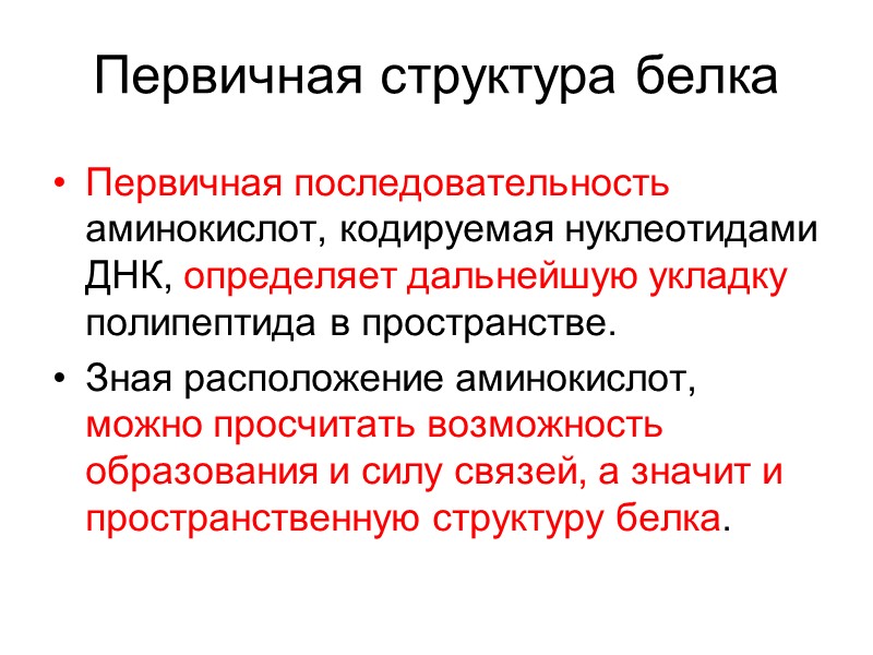 Первичная структура белка Первичная последовательность аминокислот, кодируемая нуклеотидами ДНК, определяет дальнейшую укладку полипептида в